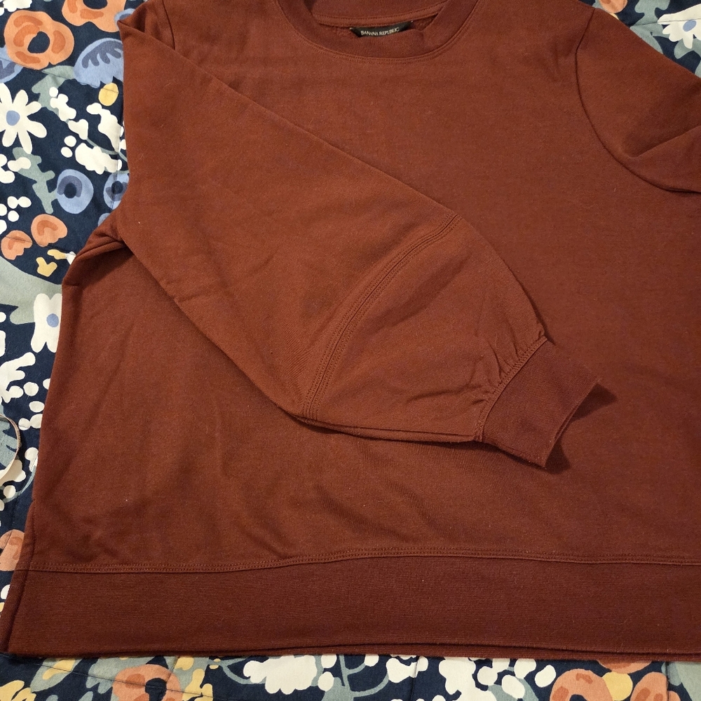 Banana Republic Factory Rust Sweatshirt